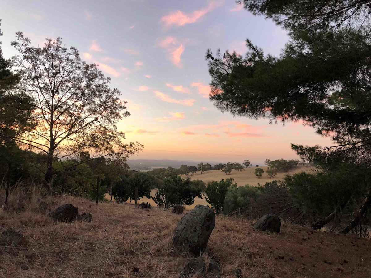 Pinecone Ridge, Barossa -享受您自己的16英亩土地