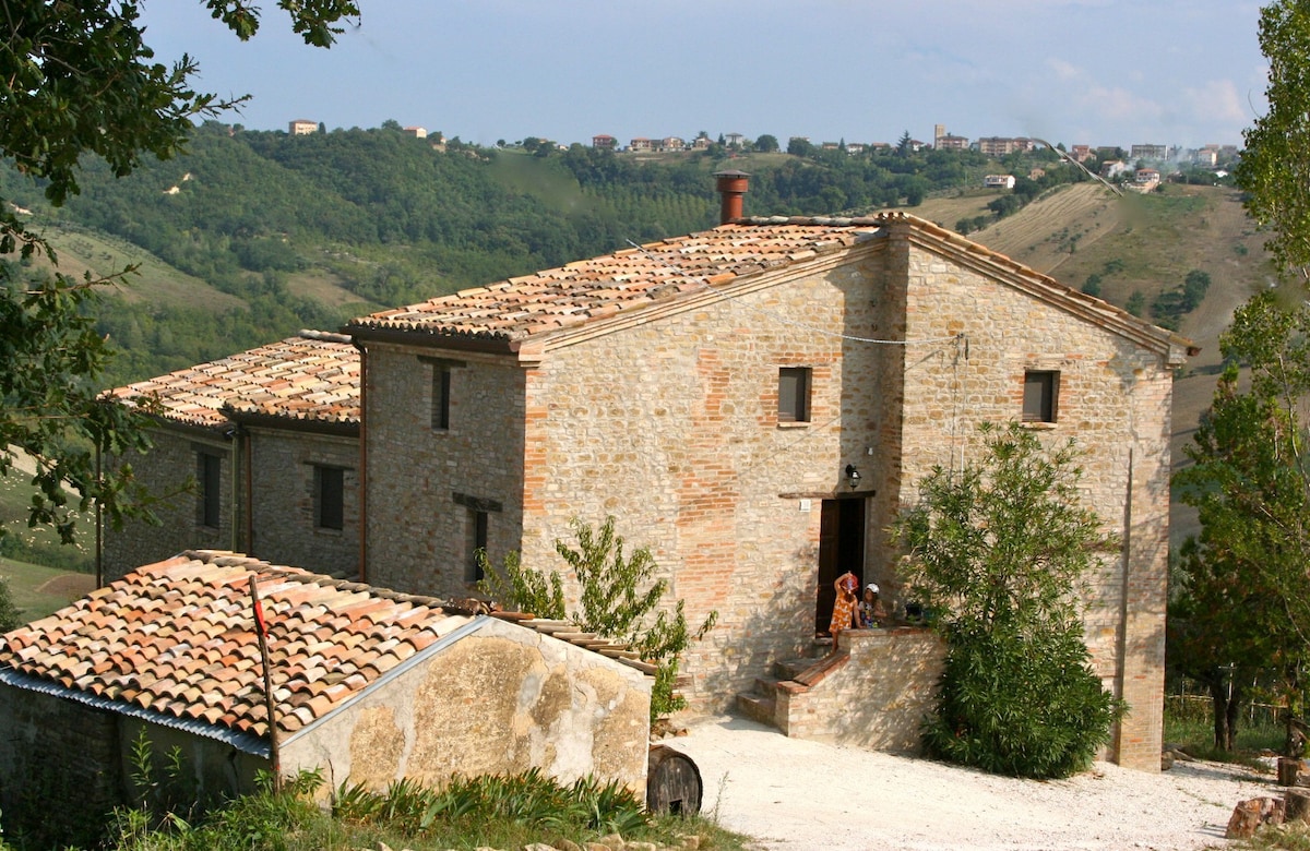 Quiet Organic vineyard & farmhouse, Central Italy.
