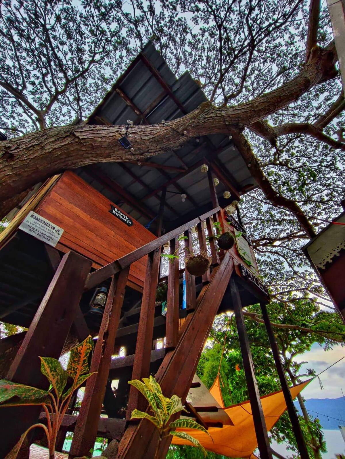 Zaia's Tree house by the beach.