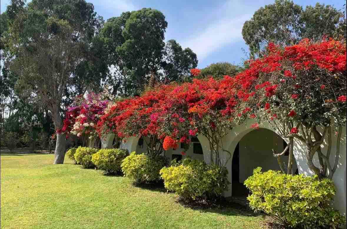 Hacienda Leon Dorado-Chilca