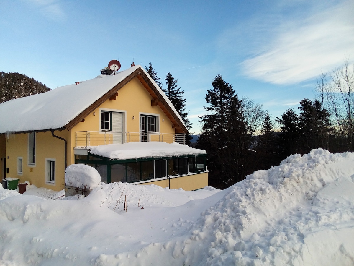 度假屋Anna ， Semmering-Kurort