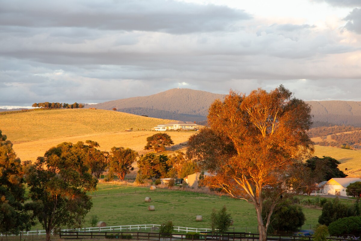 Yarra Glen ，葡萄园小屋