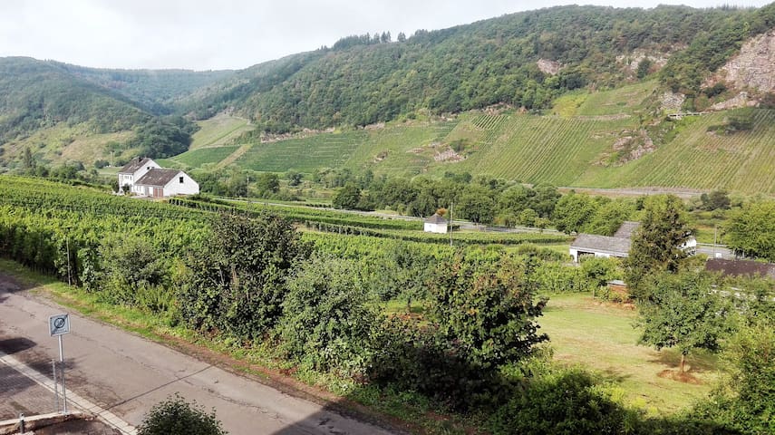 Burg(Mosel)的民宿