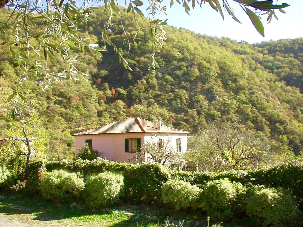 Borgata Castello乡村别墅，带大花园