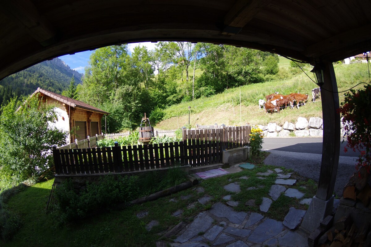 Ferme savoyarde traditionnelle, massif des Aravis