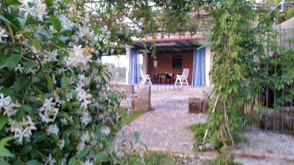 米拉佐附近西西里花园中的可爱农舍