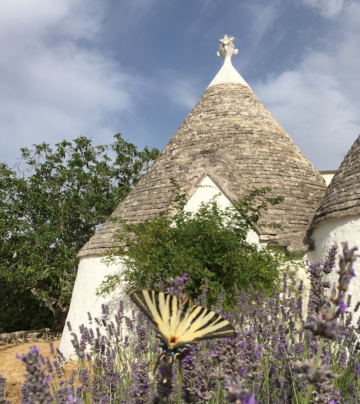 Authentic trullo in the heart of Itria Valley