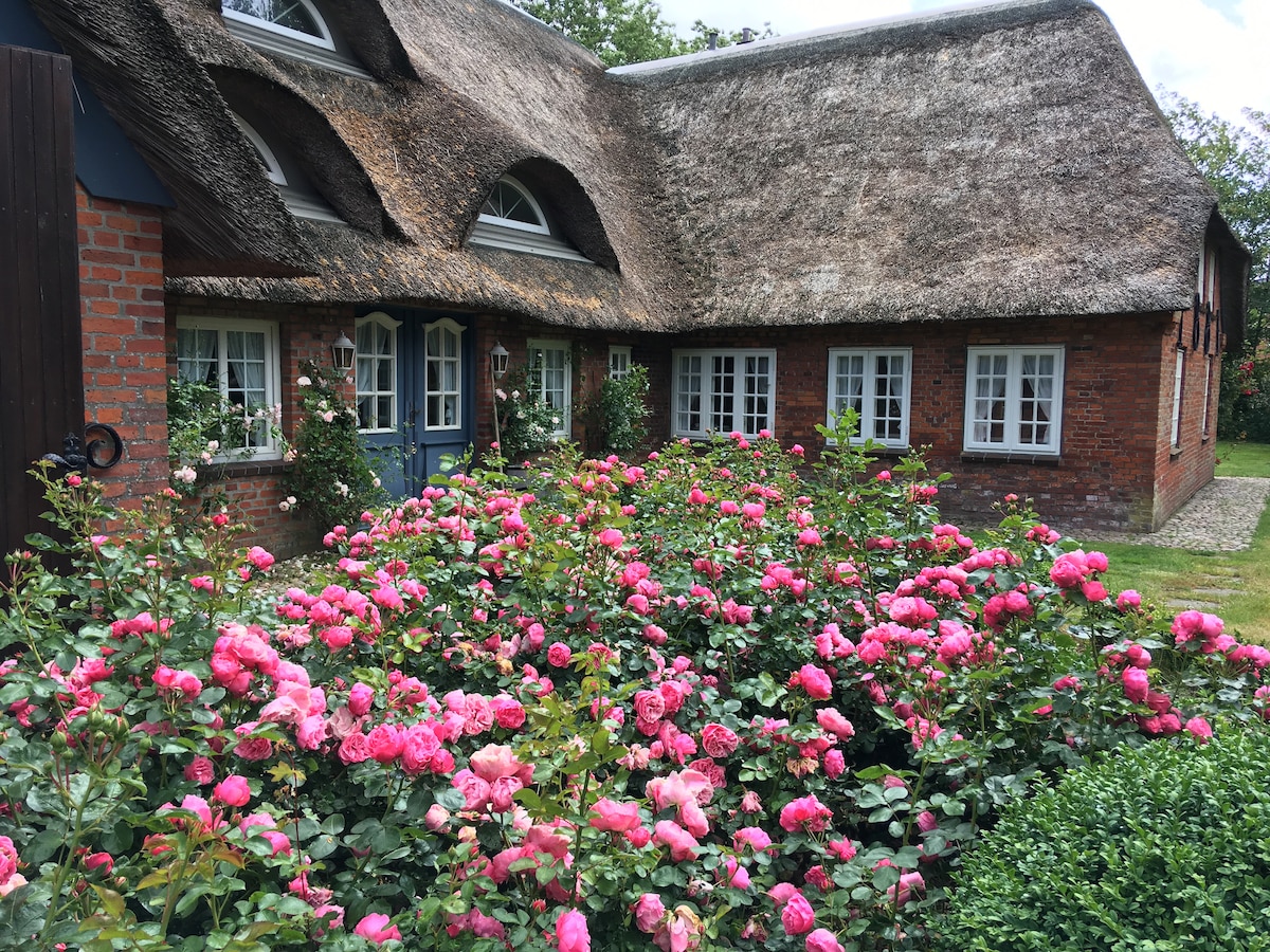 Friesenhaus Horsbüll, am Deich vor Sylt