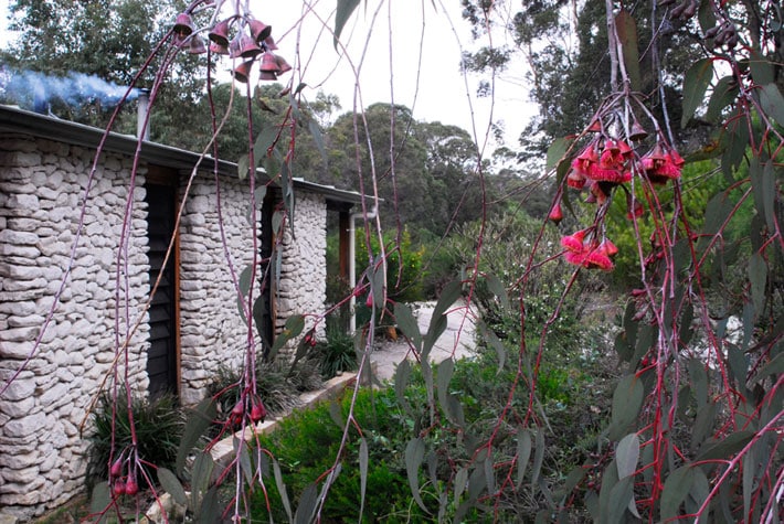 Boranup乡村小屋