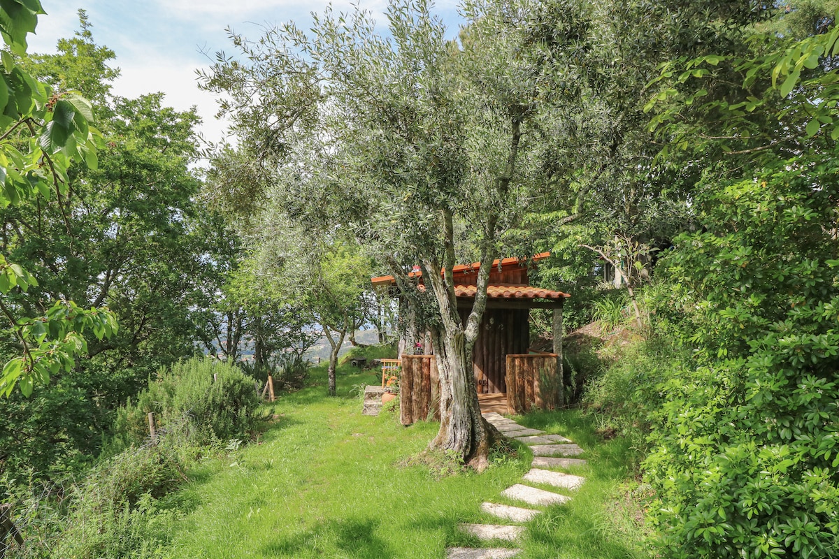 Cabana da Oliveira na Quinta do Castro