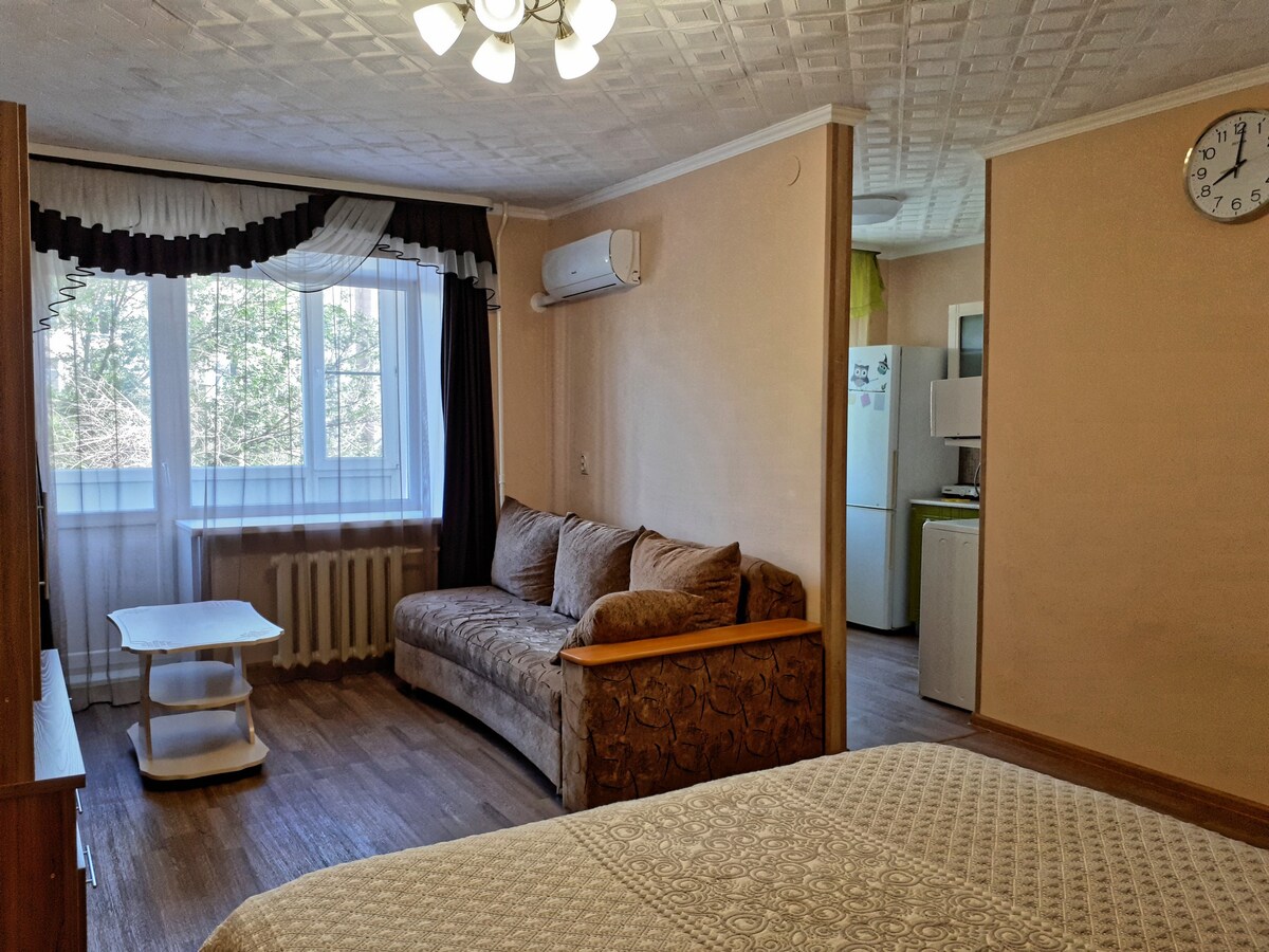 Ushanov Square Suite。Potanina 19