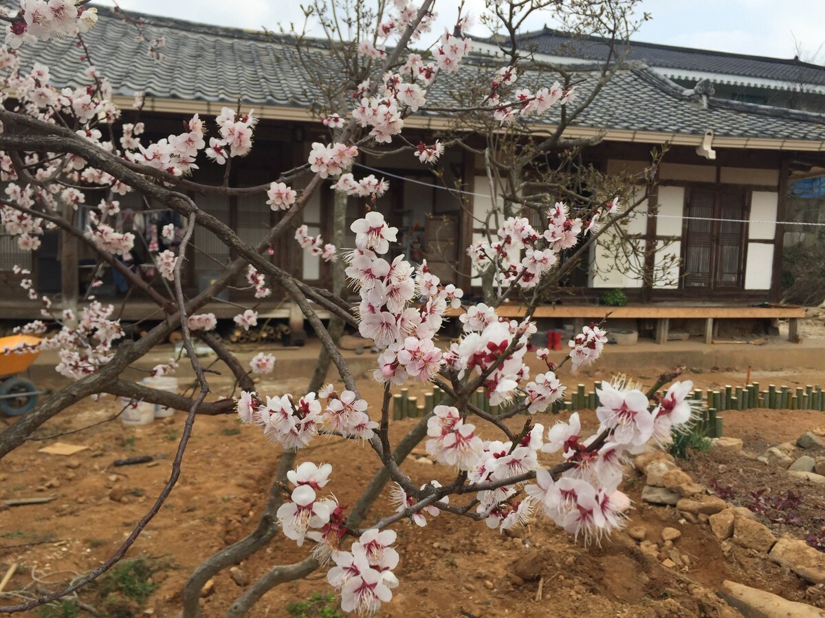 慢慢入住Kangjin Sosowon （ Vipasil ） ，这是一个古老的Namdo韩屋