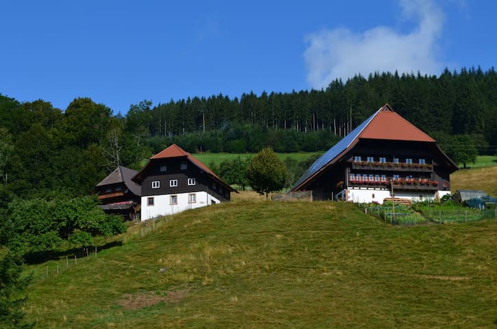 Haslach im Kinzigtal的民宿