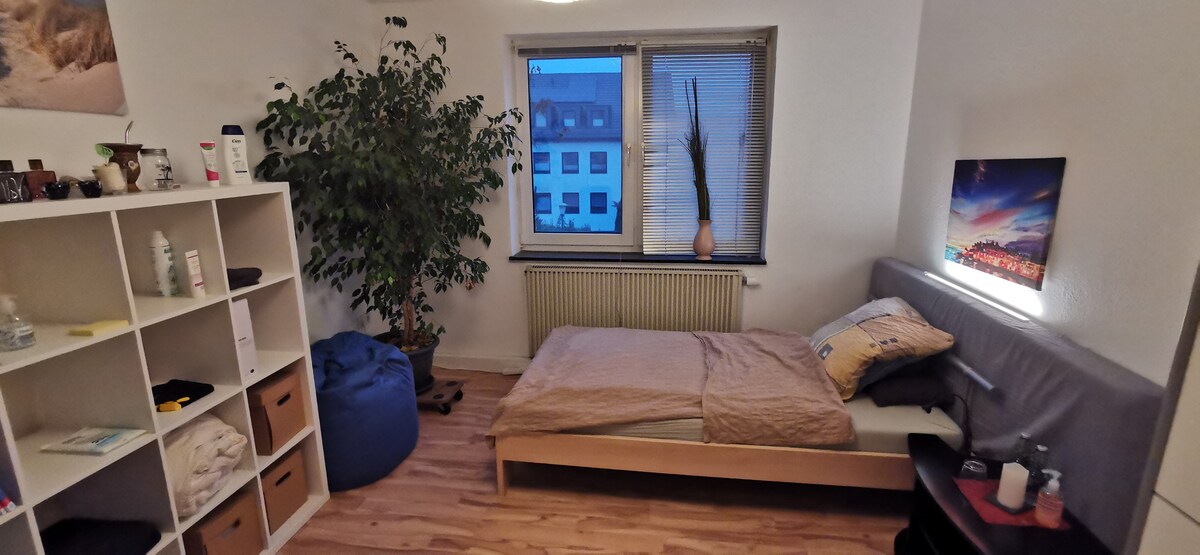 Kassel迷人的带客房的公寓