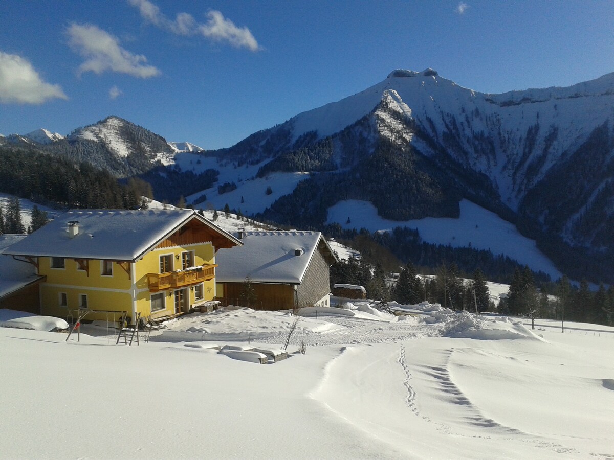 Appartement Reitlhof Urlaub in Salzburgs Bergen