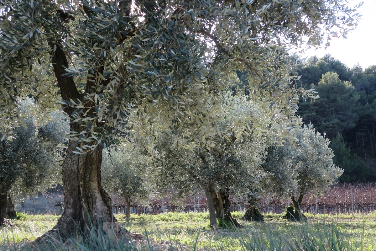 "La Genestière"