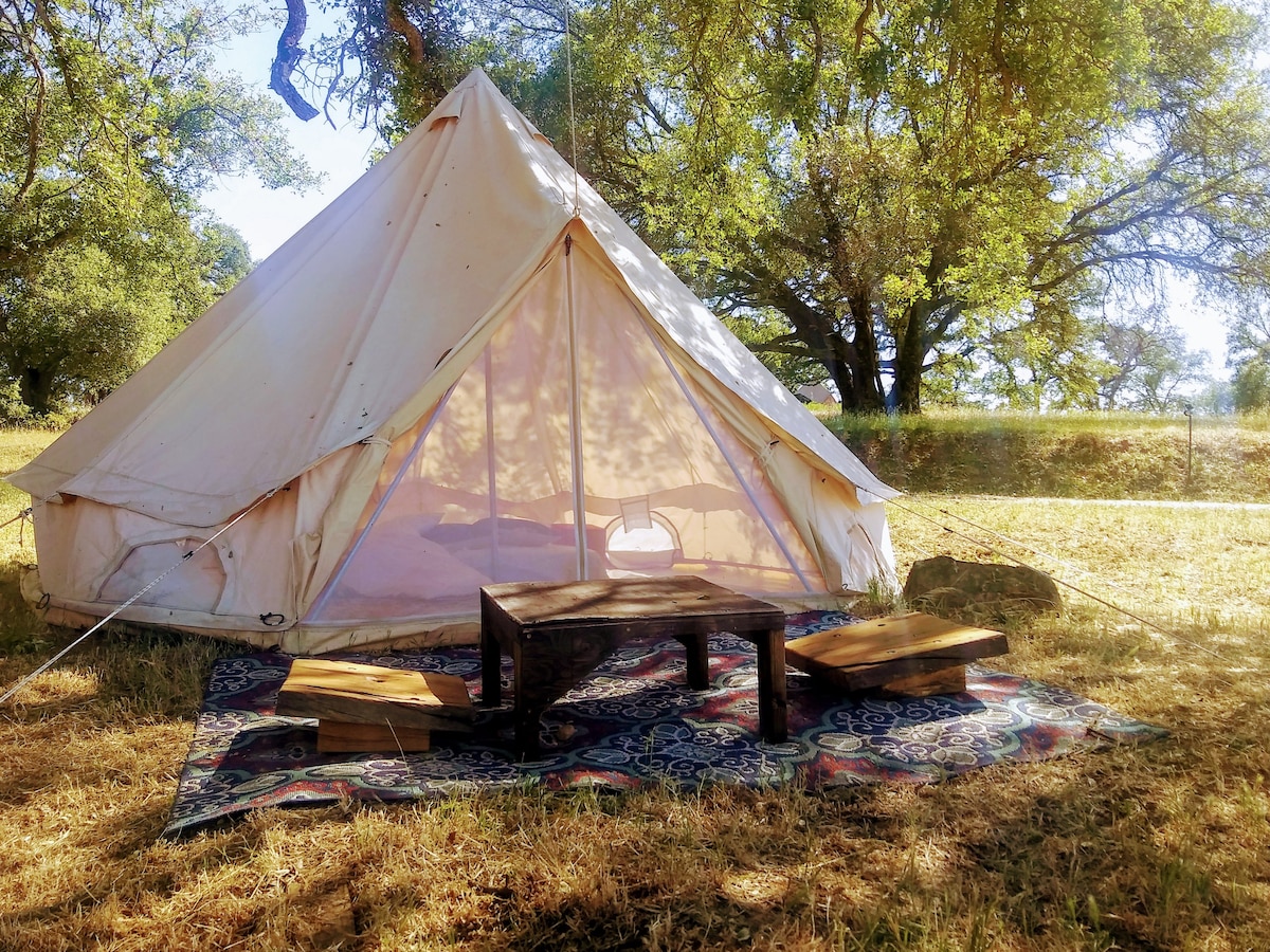 Tent #4