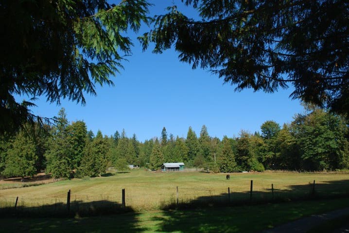 枫树岭(Maple Ridge)的民宿