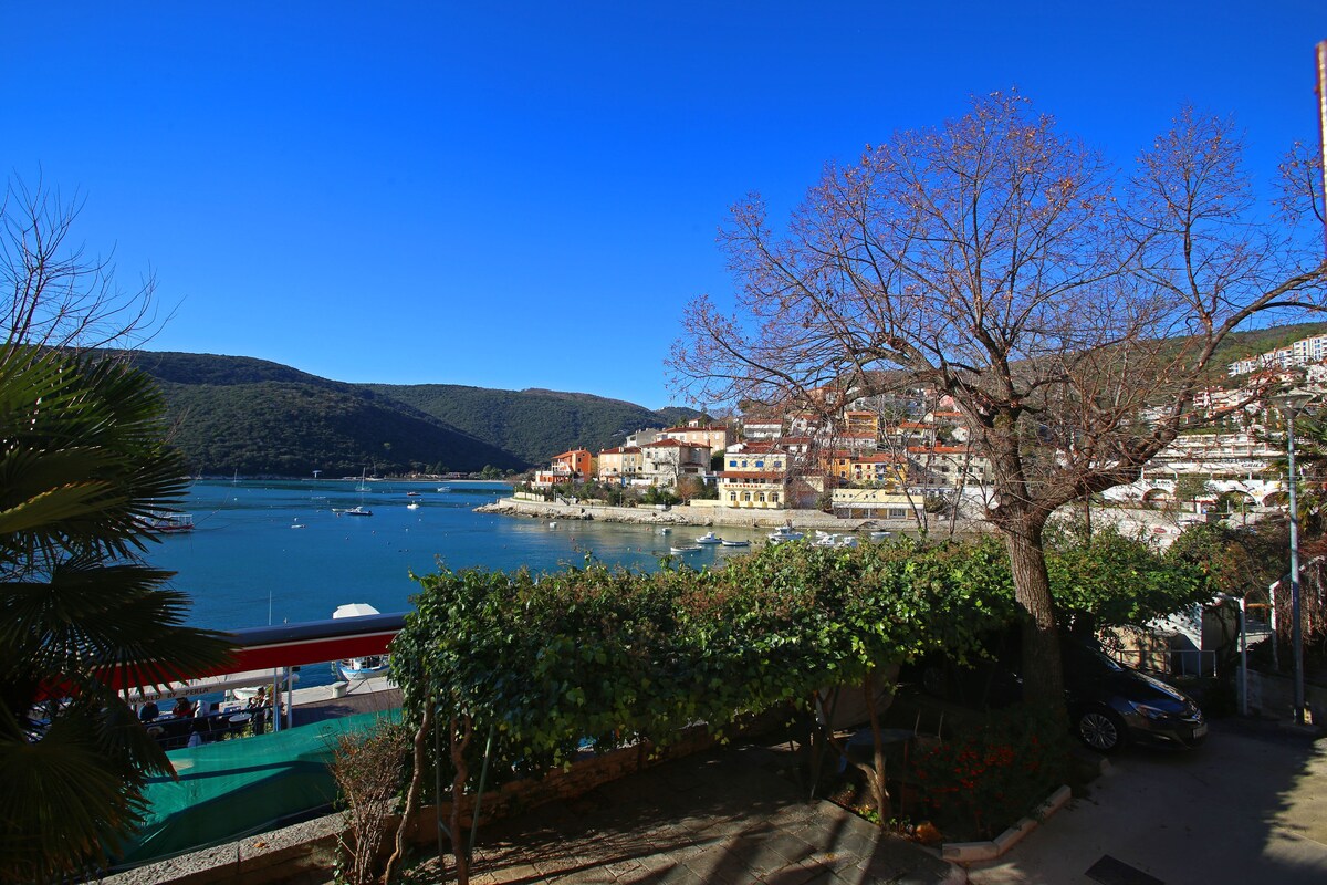 Port of Rabac 2 BDR app with terrase
