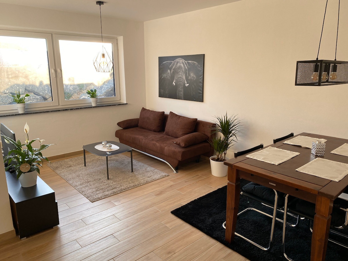 Schönes helles 2,5 Zimmer Apartment