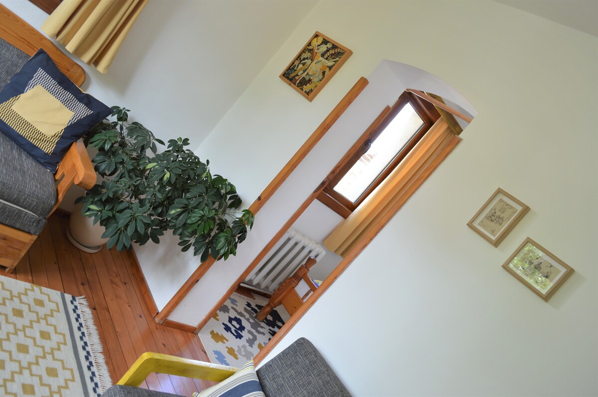 双人客房* Sema Guest House * Bansko