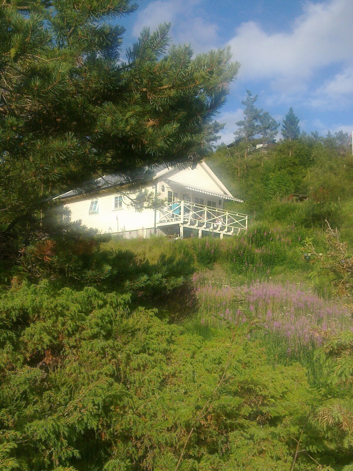 Waterfront comfy cabin near Bergen