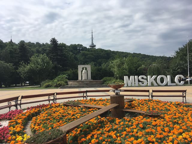 密什科尔茨 (Miskolc)的民宿