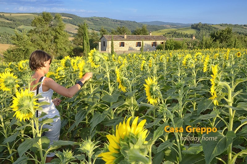 'Il Mandorlo', lovely country house, sleep 6/8