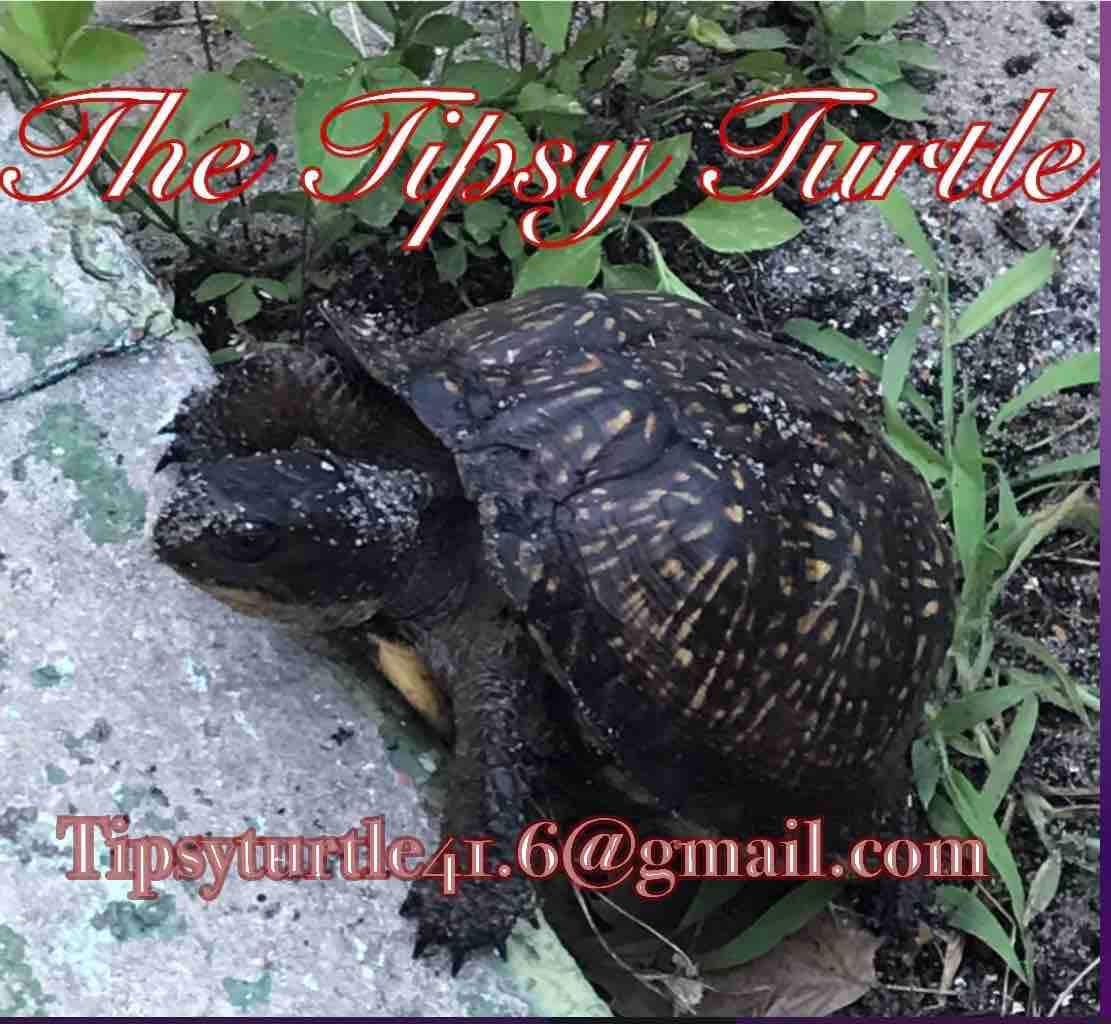 The Tipsy Turtle