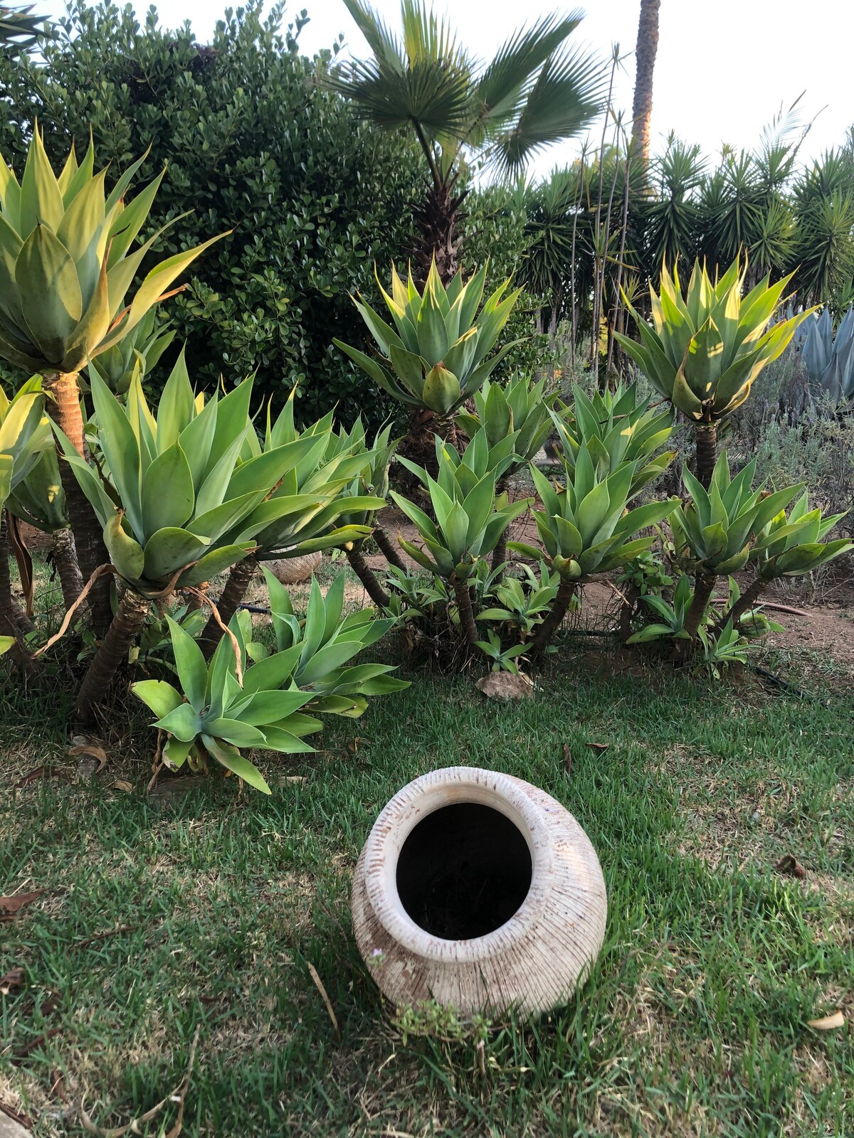 Planeta Verde - oásis de natureza  em Brasília