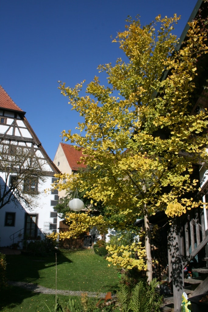 Holiday home Schöberlein "Efeu"