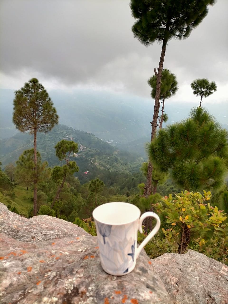 Jageshwar Inn