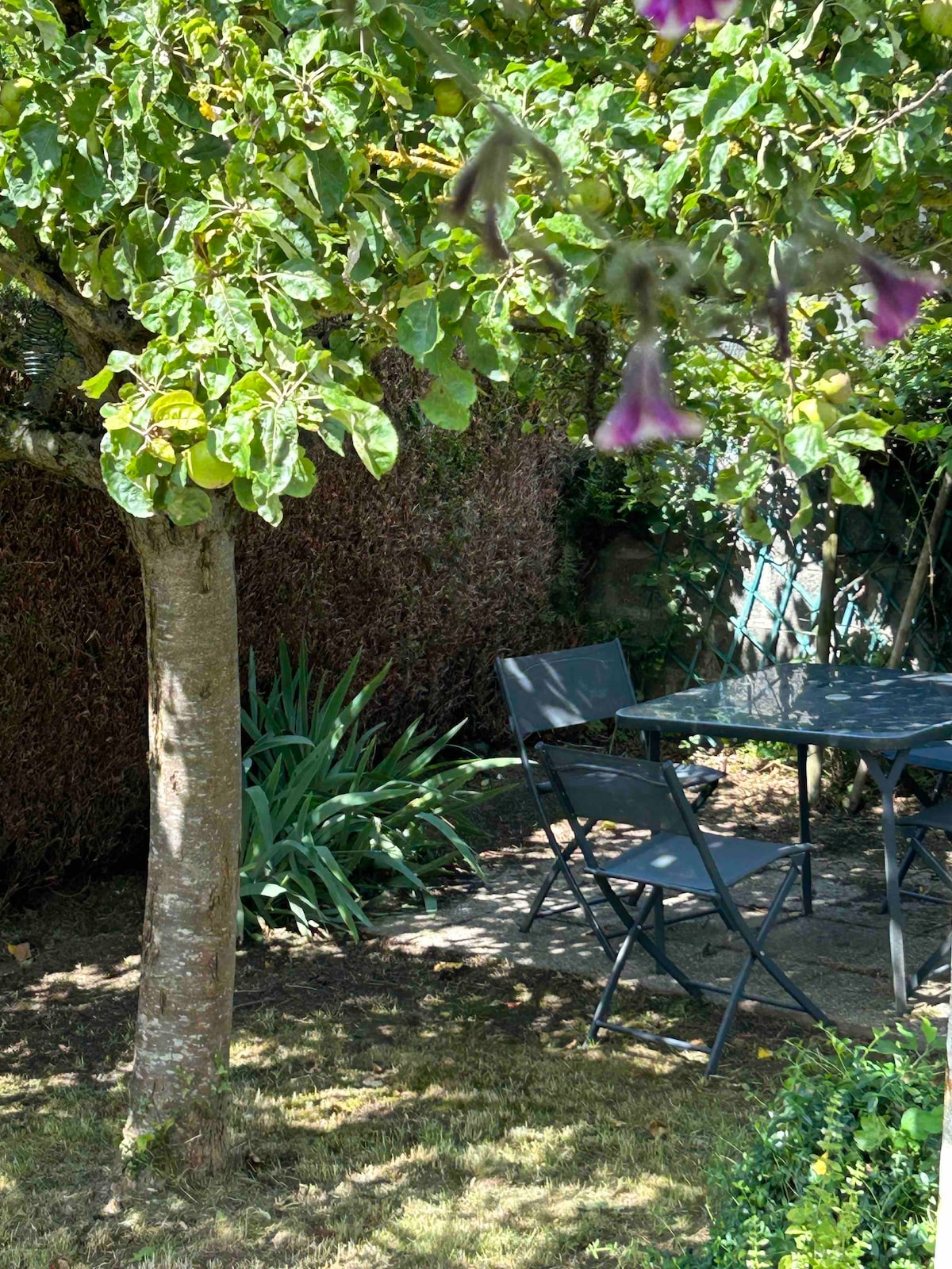 Maison au calme avec jardin clos -CAEN à 1 minute