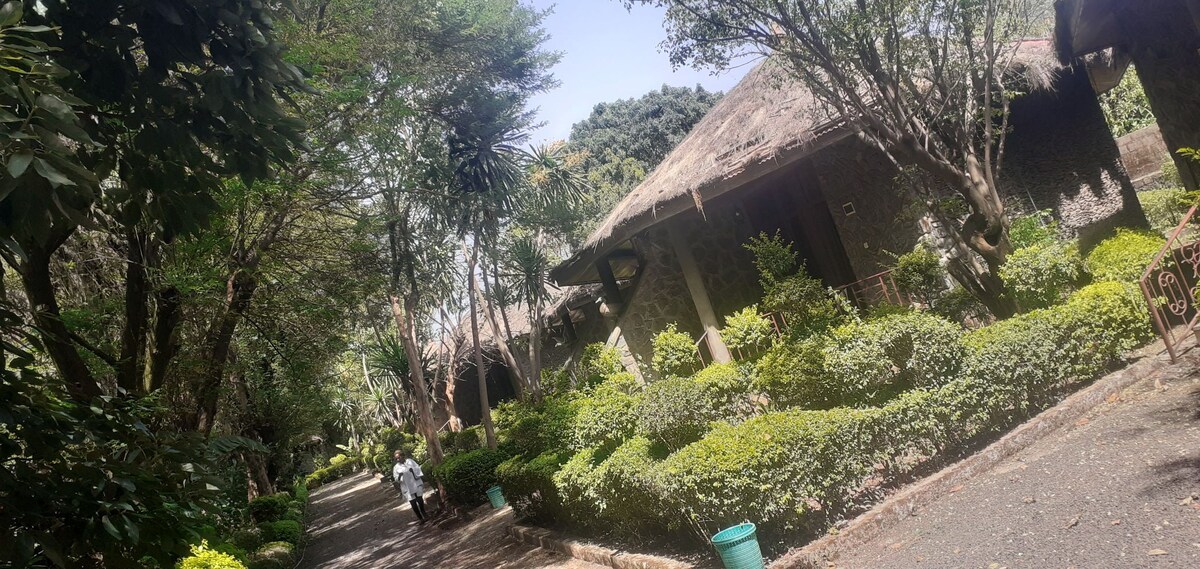 Best Lodge In Bahirdar