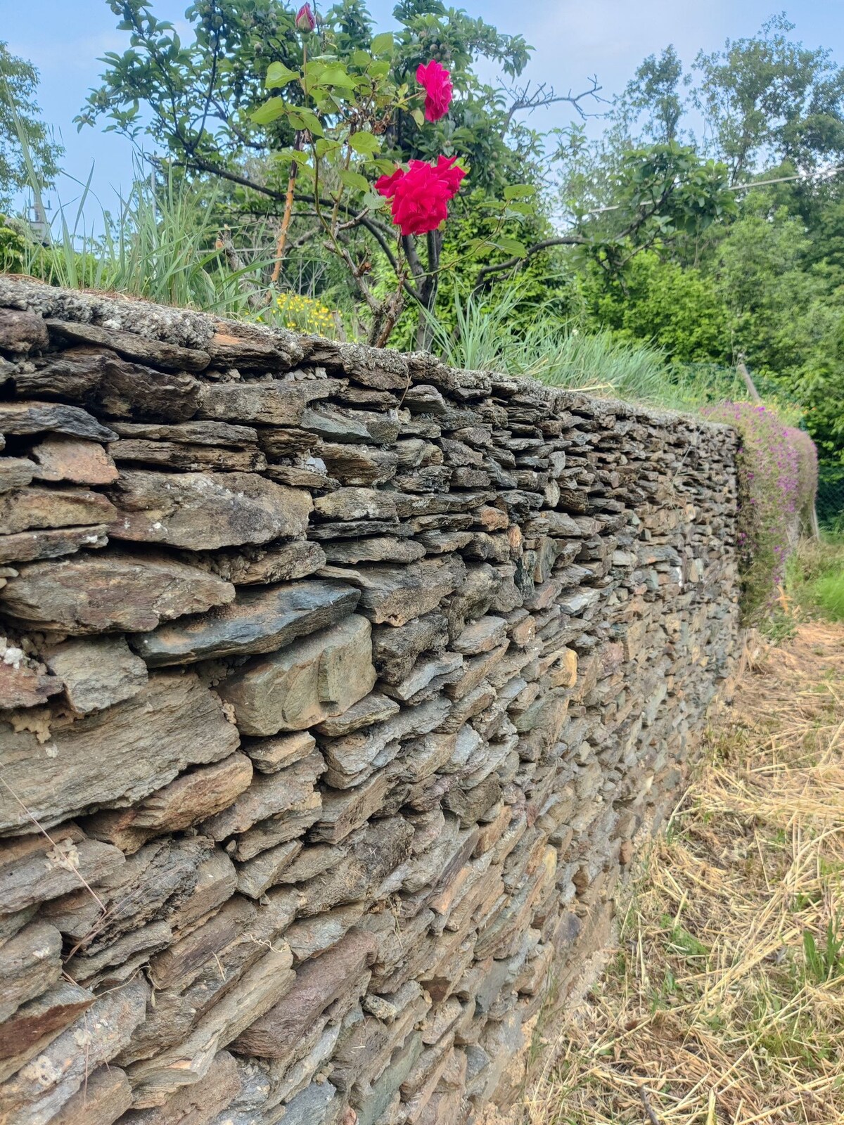 Casa indipendente nel verde con parcheggio privato