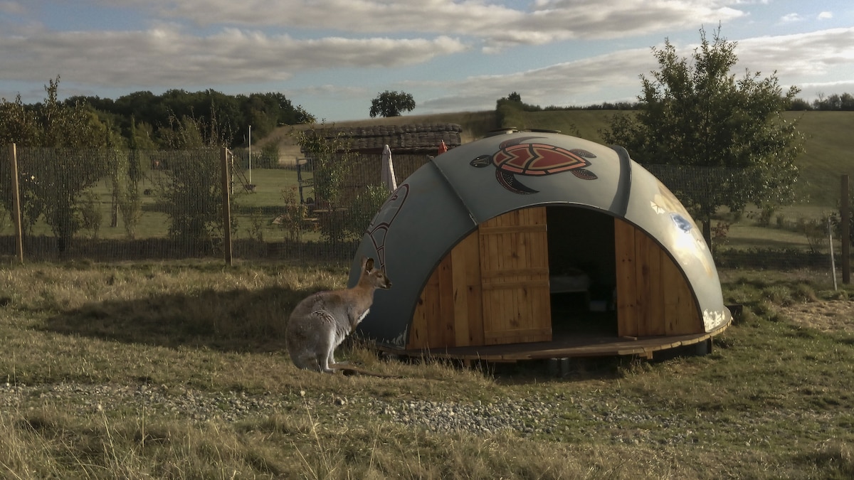 Une nuit chez les Kangourous (Repas compris)