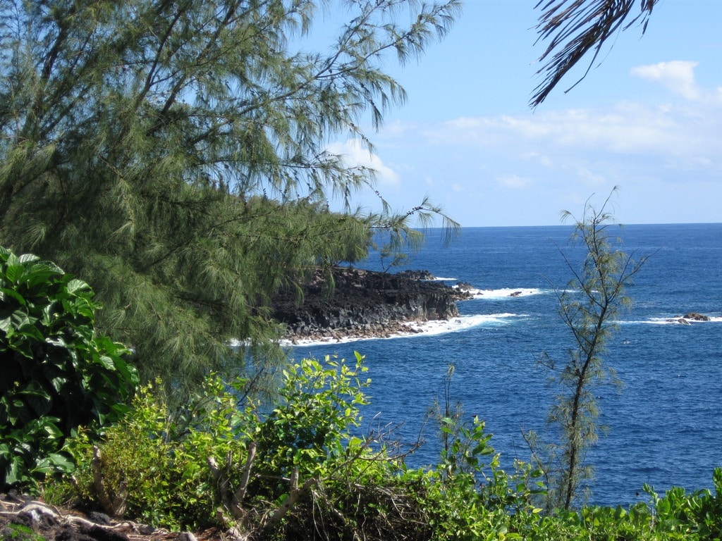 Kehena/Pohoiki海滩附近的漂亮单间公寓，带空调