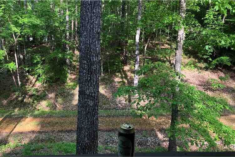 Hooters Hollow- Get away cabin at Pickwick Lake