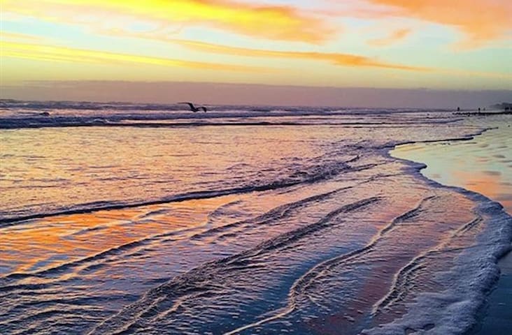 新士麦那海滩(New Smyrna Beach)的民宿