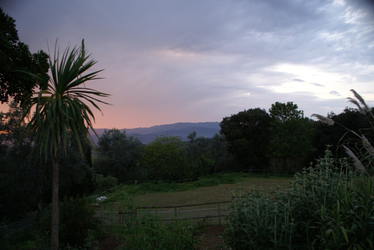 Relax Montseny/Barcelona (Natura