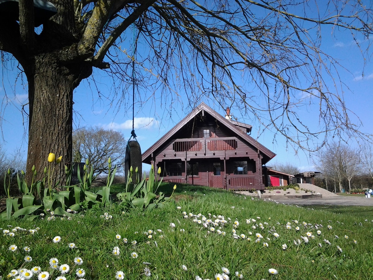 Clover Cabin Escape