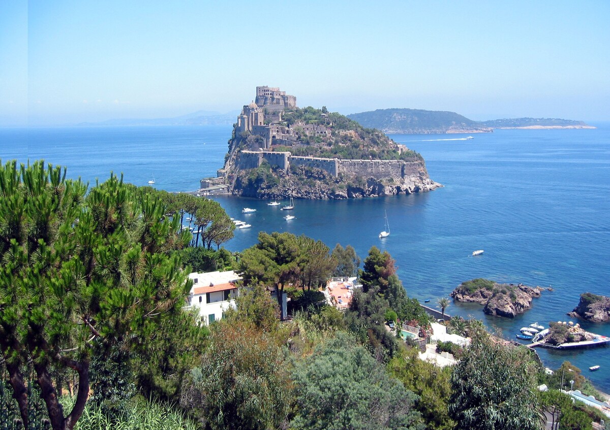 Ischia B&B ，靠近大海，带泳池