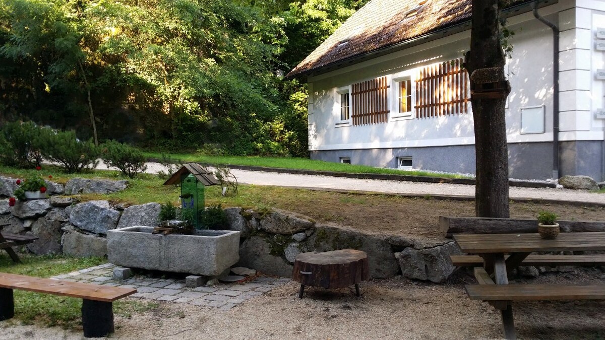 多瑙河上田园诗般的100平方米公寓，可入住2-8人。