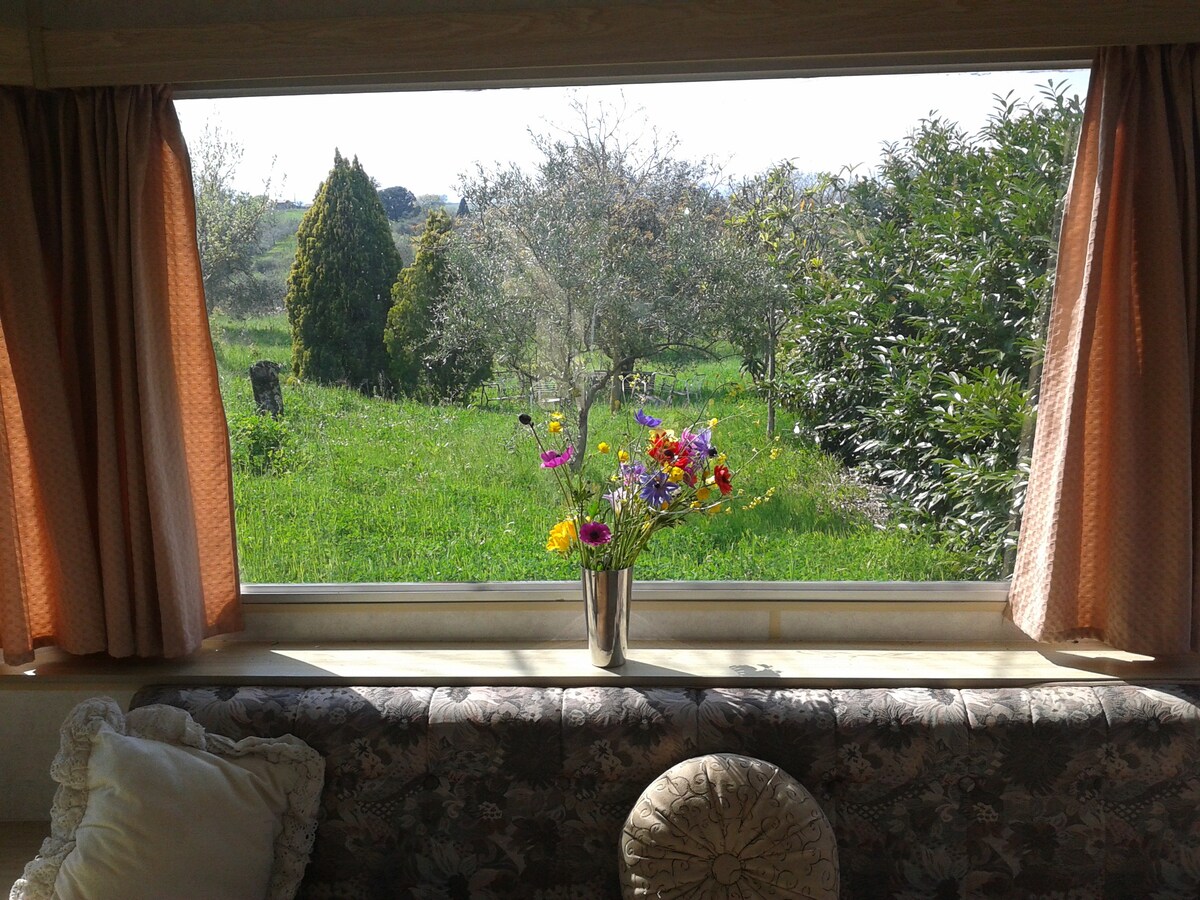 Tranquil Nature Retreat 40 KM from Rome