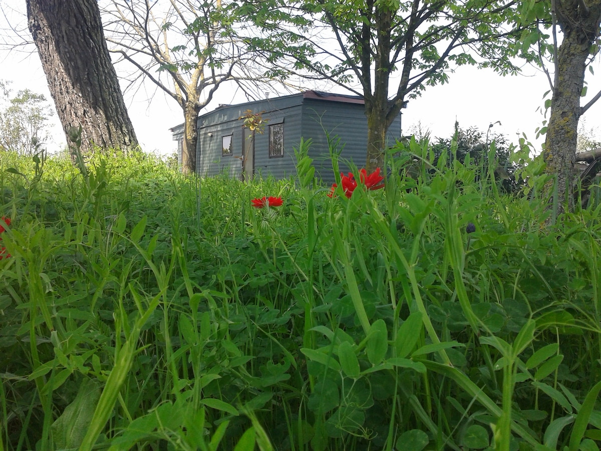 Tranquil Nature Retreat 40 KM from Rome