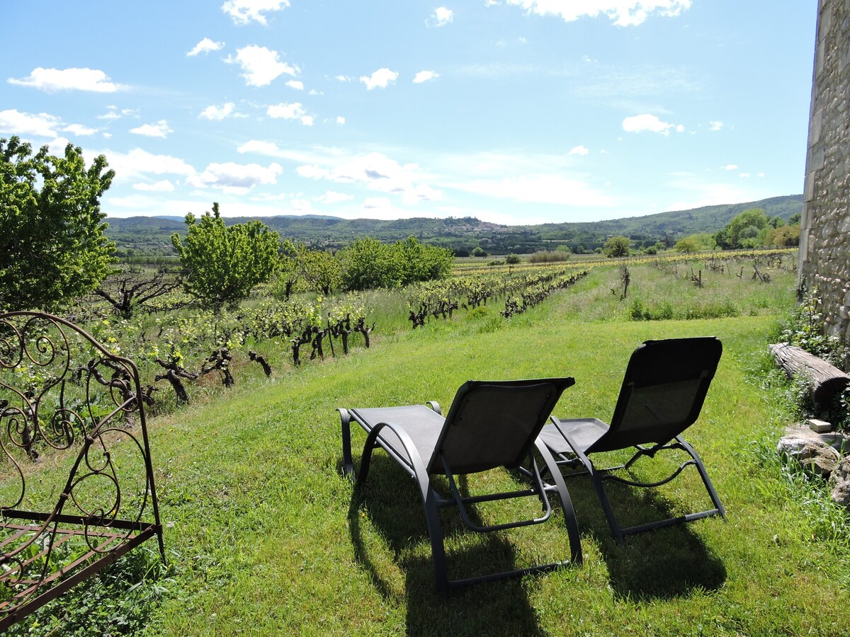 Gîte au milieu des vignes dans le Luberon