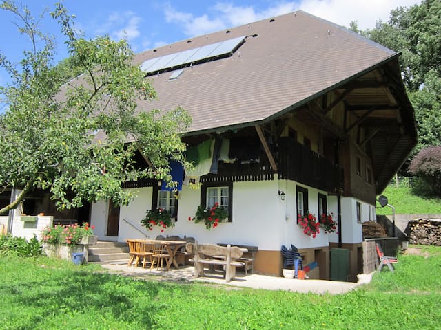 Kirchzarten的民宿