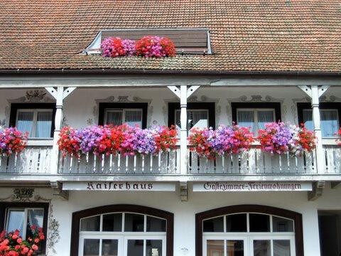 Pension Kaiserhaus, (Ühlingen-Birkendorf),带淋浴间/马桶的5号双人房