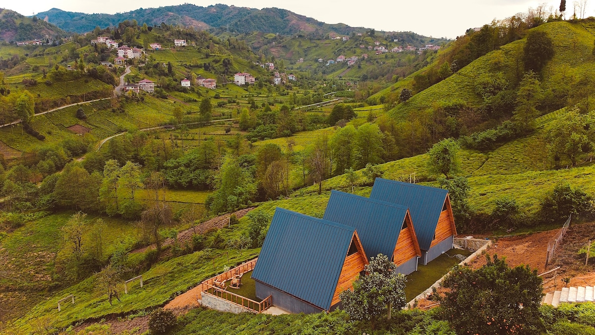 Rize Artvin havalimanına 8 dakika mesafede.