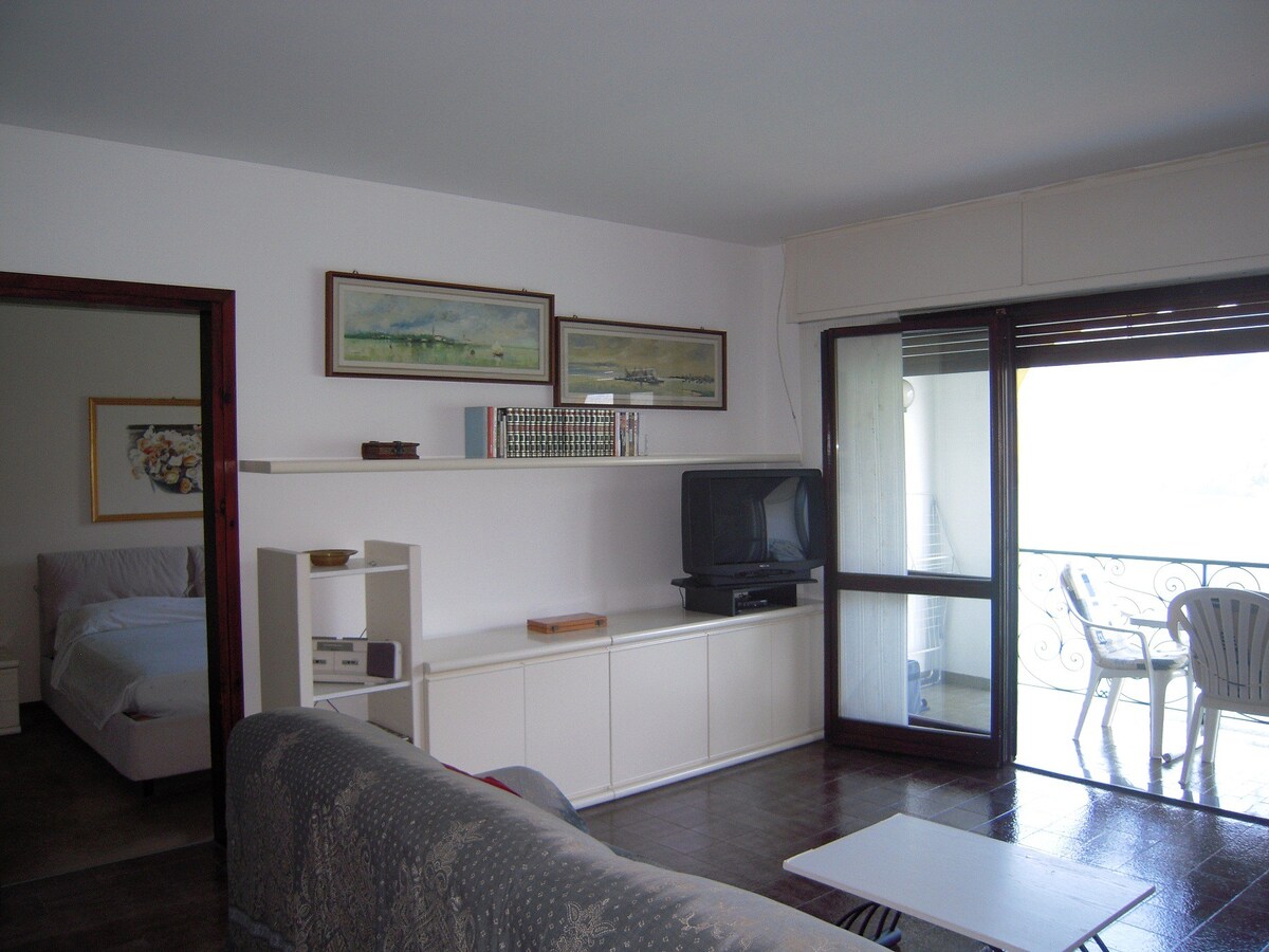公寓，可欣赏瓦尔索达湖景-卢加诺湖